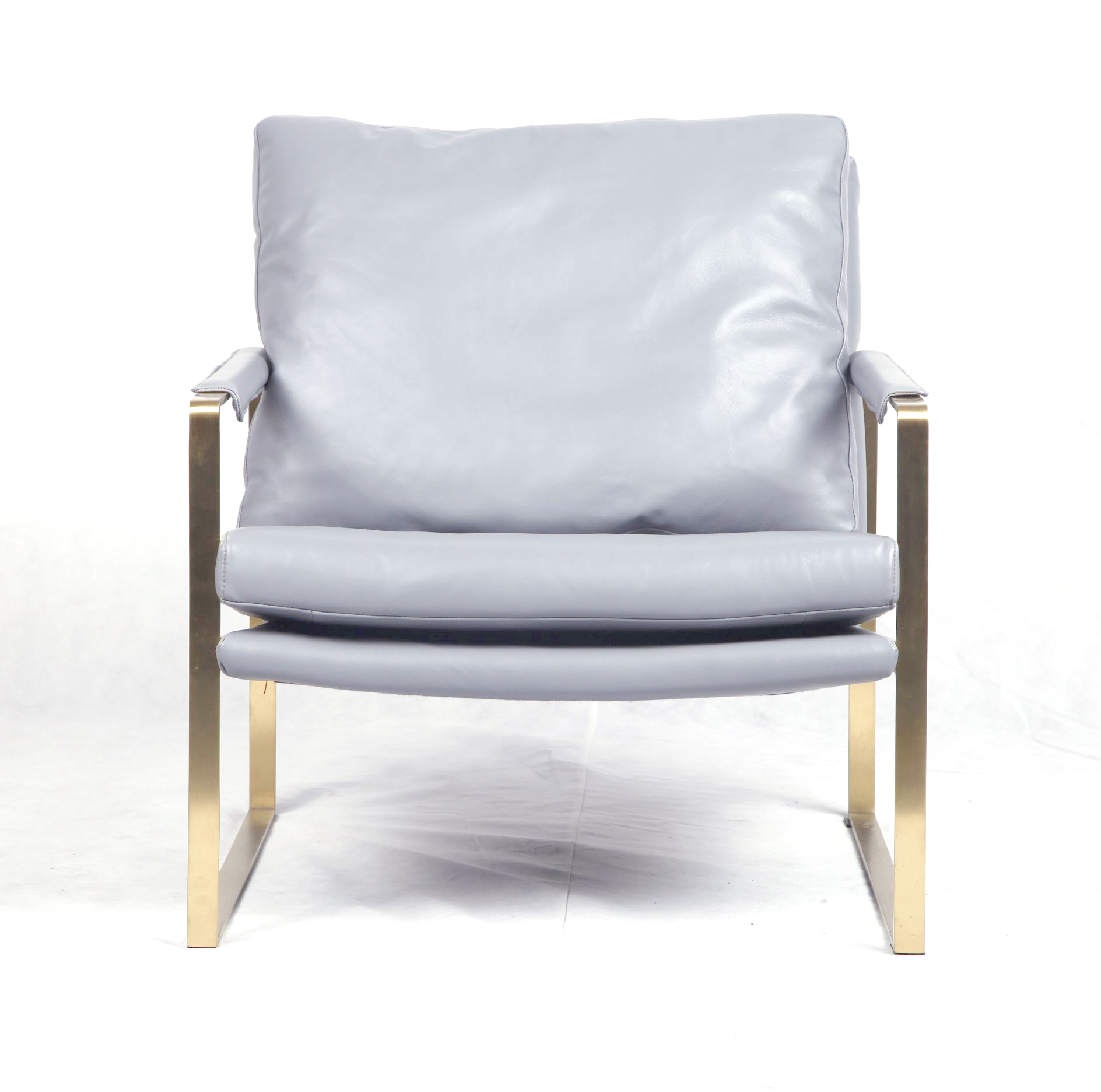 现代真皮休闲椅子（ZARA Lounge Chair）正面图片