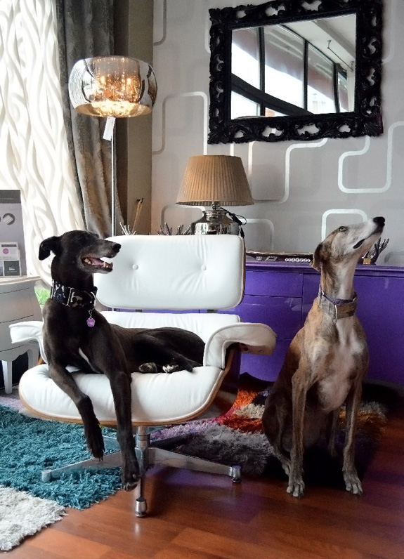 真皮休闲椅伊姆斯躺椅