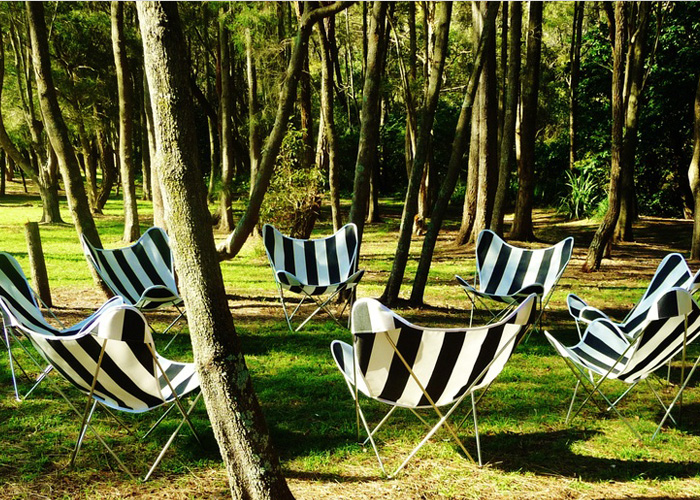 蝴蝶椅(Butterfly Lounge Chair)