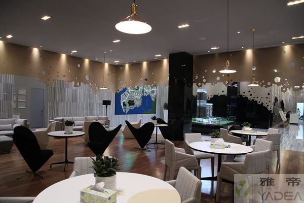 田厦国际工程项目 样板房用到的雅帝家具 4