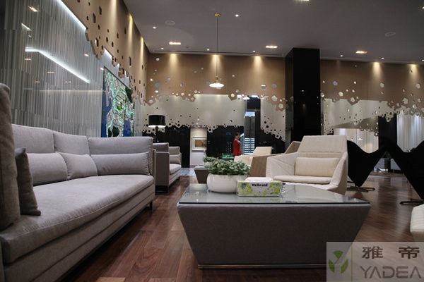 田厦国际工程项目 样板房用到的雅帝家具 5