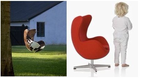 鸡蛋可以用来坐吗