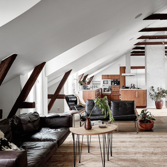 瑞典的旧房新装案例